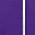 Vibrant Purple