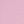 Pink Peony