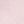 Pink Shell