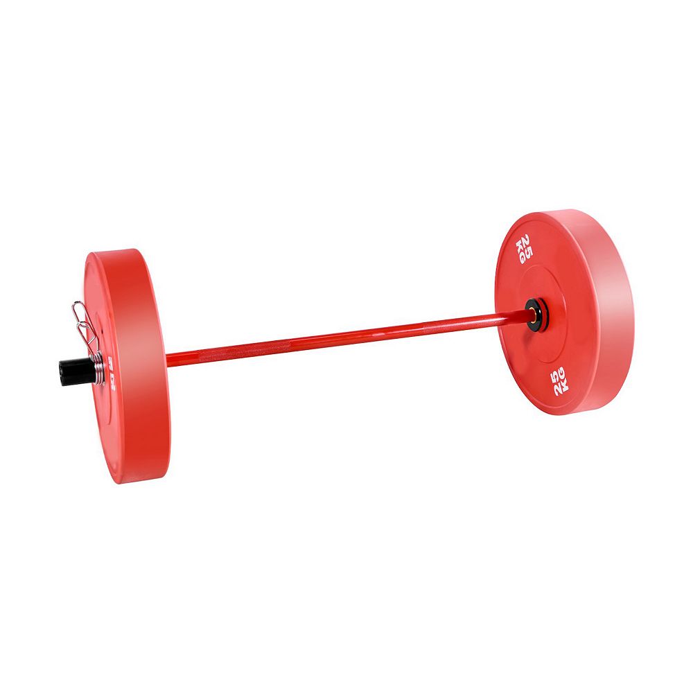 4FT Barbell Bar 2-Inch Olympic Weight Bar Knurled Grip 550 LB Capacity