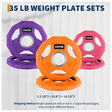 2-In-1 Cast Iron Rubber Coated Color-Coded Weight Plates 2.5LBx2, 5LBx2, 10LBx2