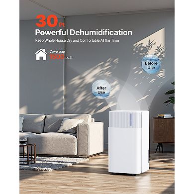30 Pint Dehumidifier for Home and Basement with Smart Humidity Control