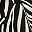 Black Botanic Zebra