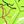 Gren