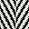 White Black