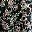 Black Floral