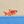Multi Ocean Fish