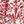 Red Sweets Print