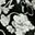 Black Ivory