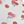 Cherry Print Smooth