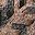 Tan Leopard Smooth