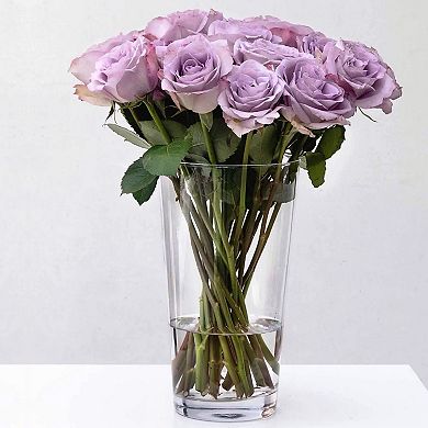 Clear Glass Conical Centerpiece Vase for Tables or Shelves - Set of 4