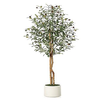 Artificial Olive Tree in White Planter with 2 Wood Trunks for Home & Office Decor