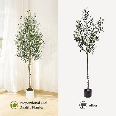 Artificial Olive Tree in White Planter with 2 Wood Trunks for Home & Office Decor
