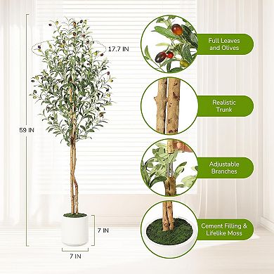 Artificial Olive Tree in White Planter with 2 Wood Trunks for Home & Office Decor