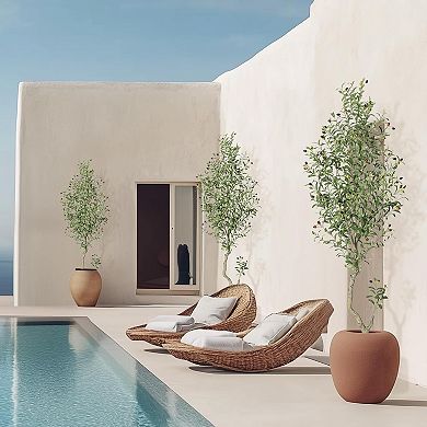 Artificial Olive Tree in White Planter with Wood Trunk & Fruits for Home & Office
