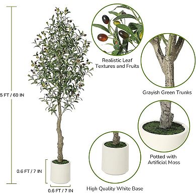 2-Pack Artificial Olive Trees in White Planter with Fruits & Realistic Trunks