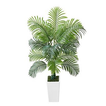 Artificial Thick-Trunk Areca Palm 5ft with Pot, 2 Stems & 18 Leaves for Indoor Display White & Green