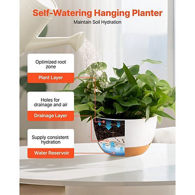 Self-Watering Hanging Planter with Reservoir for Indoor or Outdoor Plants