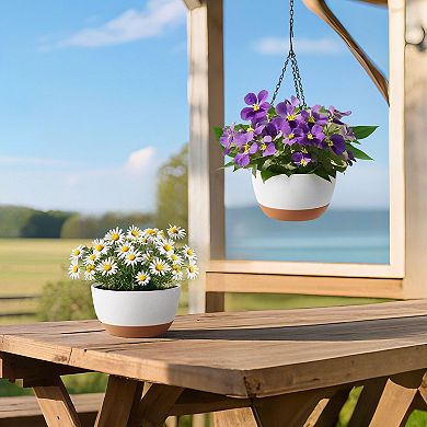 Self-Watering Hanging Planter with Reservoir for Indoor or Outdoor Plants