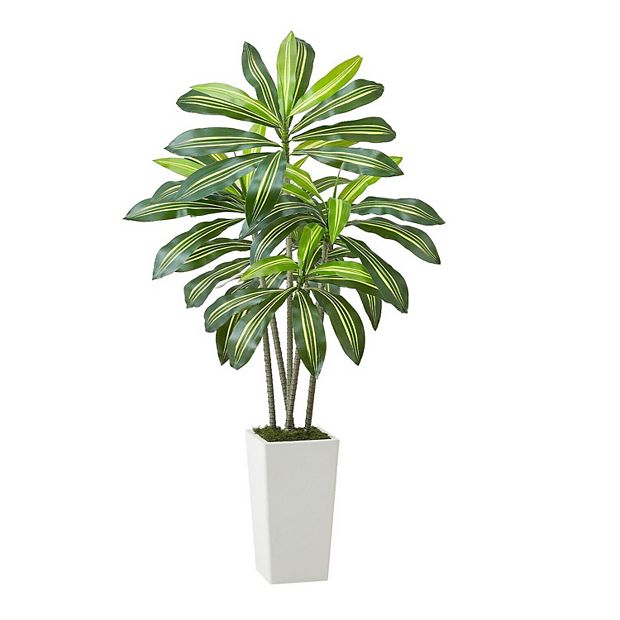 Indoor Artificial Dracaena Tree with Flexible Branches and Stable Base  White and Green