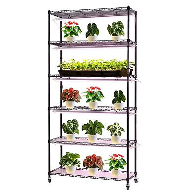 6-Tier Grow Light Shelf for Seedlings and Herbs with Timer and PP Trays