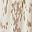 Tan Spot Texture