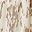 Tan Spot Texture
