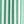 Medium Green Stripe