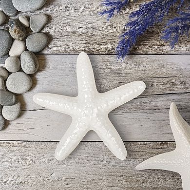 Home Essentials Coastal Starfish Decor