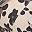 Leopard Floral