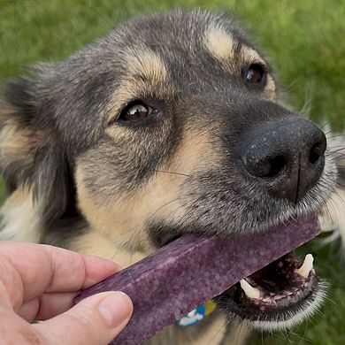 Yeti Dog Chew Flavored Natural Yak Cheese Chew
