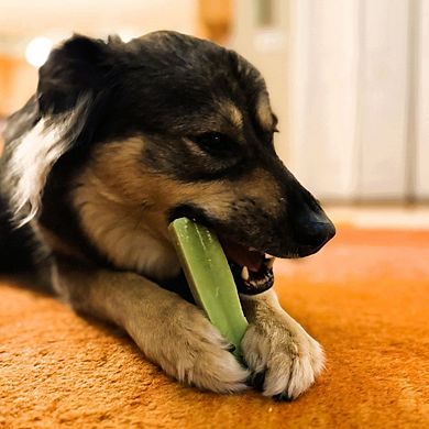 Yeti Dog Chew Flavored Natural Yak Cheese Chew