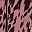 Pink Leopard