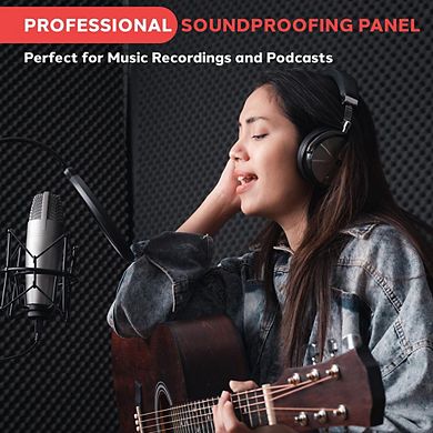 Pyle PSiP24 Studio Sound Absorbing Isolation Panel - Charcoal Gray