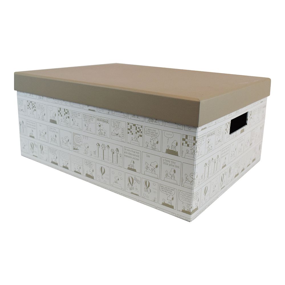 Peanuts Snoopy & Woodstock Medium Lidded Paper Storage Box