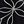Foliage Black White
