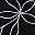 Foliage Black White