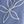 Foliage Blue White