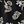 Black Fresh Floral