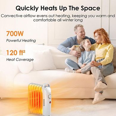 Oil Heaters for Indoor Use