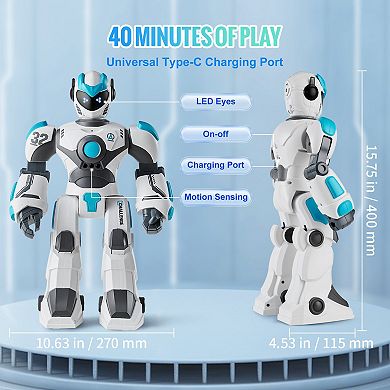 Programmable RC Robot with Gesture and Voice Control