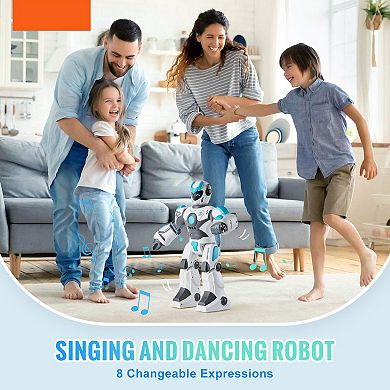 Programmable RC Robot with Gesture and Voice Control