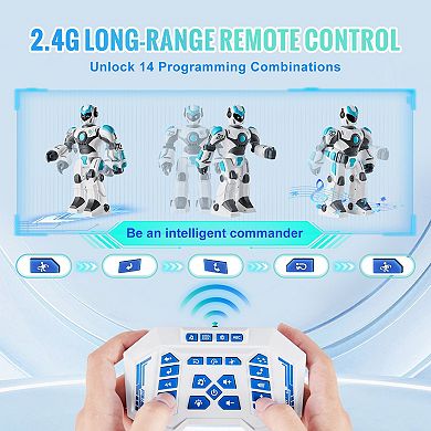 Programmable RC Robot with Gesture and Voice Control
