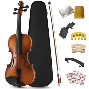 Whisen Professional 4/4 Full Size Violin Set with Complete Accessories, Stable Rich Sound