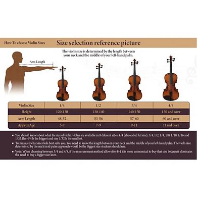 Whisen Professional 4/4 Full Size Violin Set with Complete Accessories, Stable Rich Sound