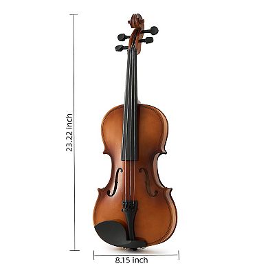 Whisen Professional 4/4 Full Size Violin Set with Complete Accessories, Stable Rich Sound