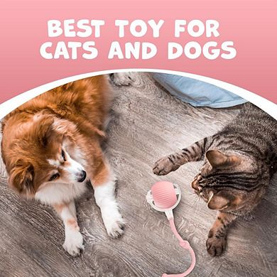 Self-Moving Electric Cat Ball Toy