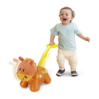 Winfun Interactive Push 'N Walk Pony Toy