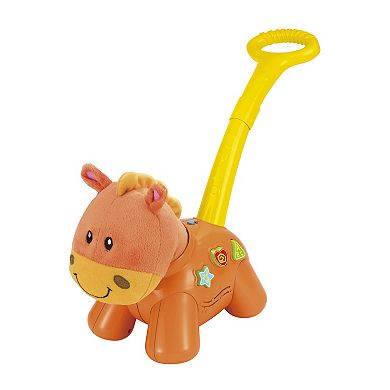 Winfun Interactive Push 'N Walk Pony Toy
